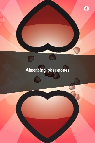 Love Tester!!!