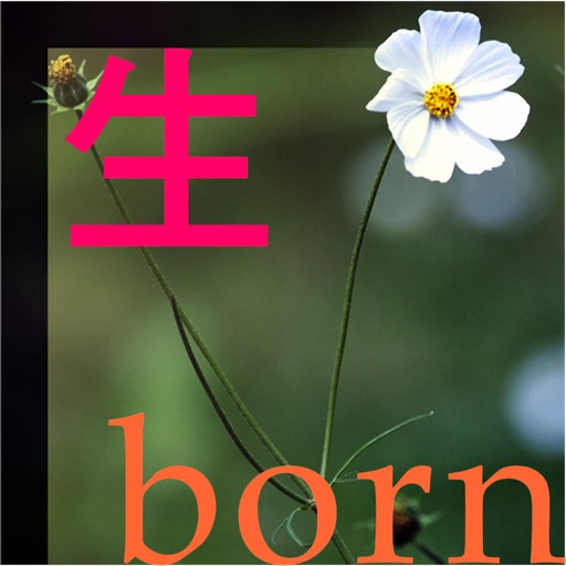 Life Cycle: Born生 icon