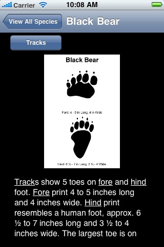 Mammal Tracks