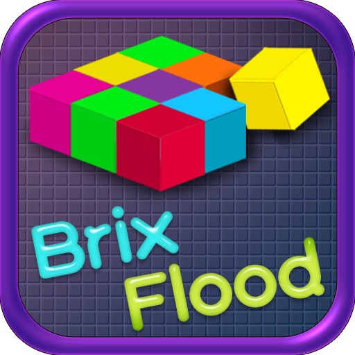 Brix Flood iOS App
