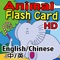 ★ Fun ★ Cute ★ Flash Cards