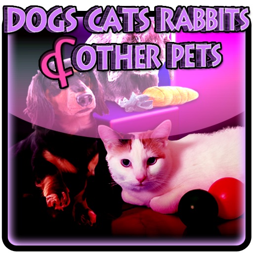 Dogs Cats Rabbits & other Pets - Spot the differences icon