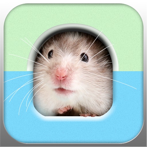 Hamstergram icon