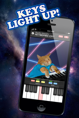 Keyboard Cat - Learn to Play Piano screenshot 3