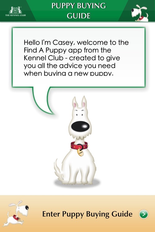 Kennel Club Puppy Buying Guide by Fetch Digital Ltd