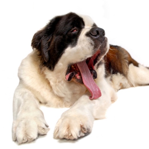 Saint Bernards - Big Dog Fun icon