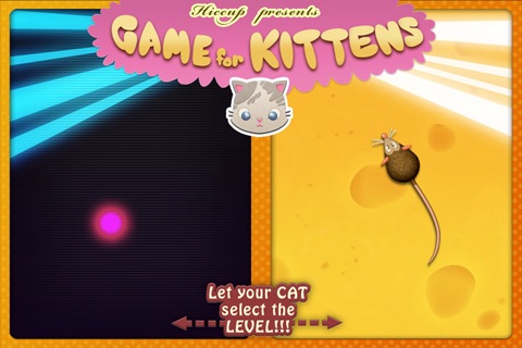 Game for Kittens