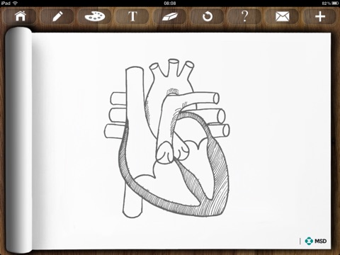 MSD Sketchbook screenshot 4