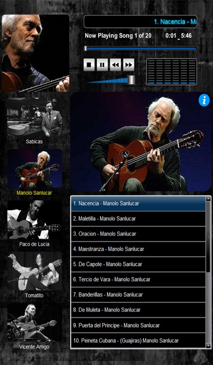 Masters of Flamenco (5 Maestros over 100 Compositions)