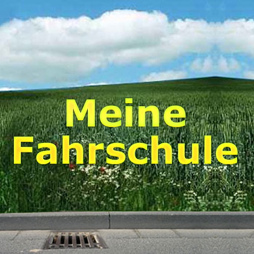 Fahrschule 2010