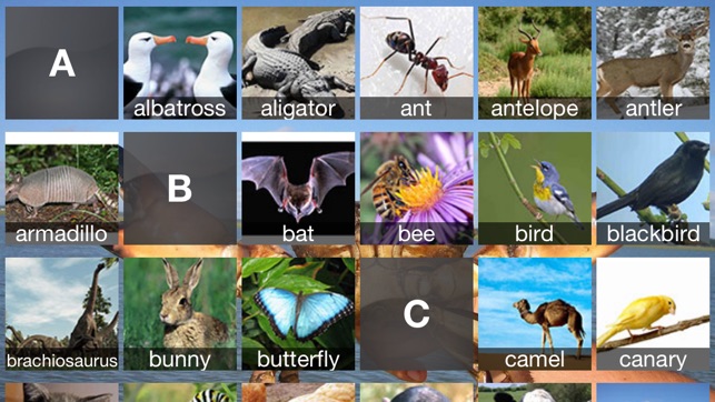 Learn Animals(圖1)-速報App