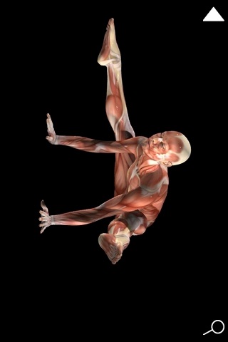 Anatomy of Yoga -Bound Angle, Firefly, and Downward-Facing Dog Poses screenshot 3