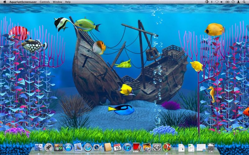 aqaurium screen saver