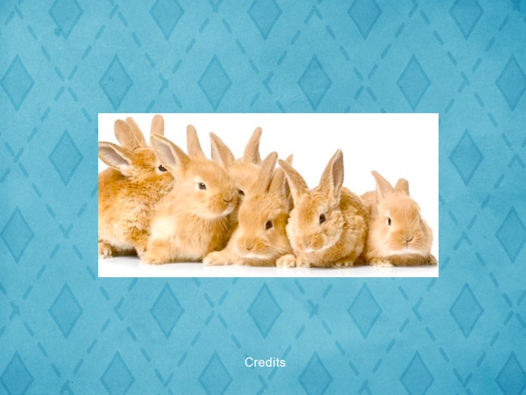 Fluffy Bunnies Jigsaw Puzzle HD