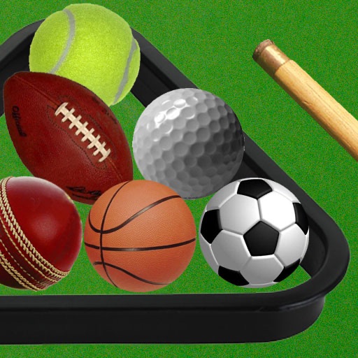 Sport on a Pool Table Icon