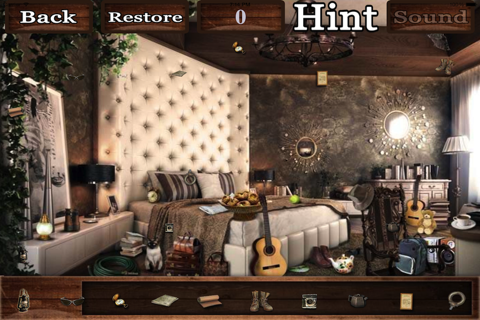 Hidden Objects??? screenshot 3