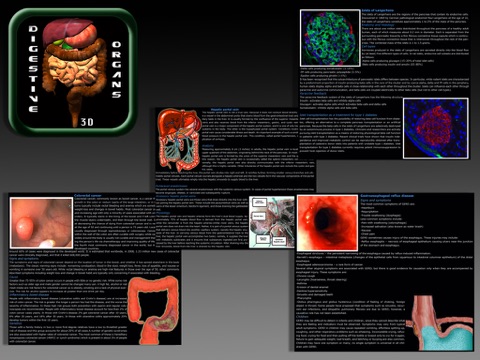 Anatomy Digestive 3D Organs screenshot 4