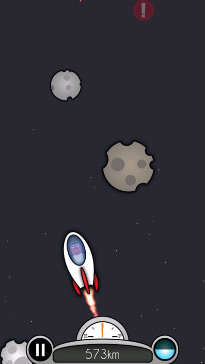 Rocket Chimp