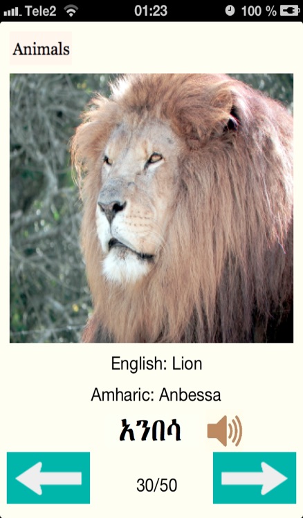 Learning Amharic screenshot-3