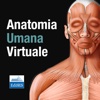 Anatomia Umana Virtuale