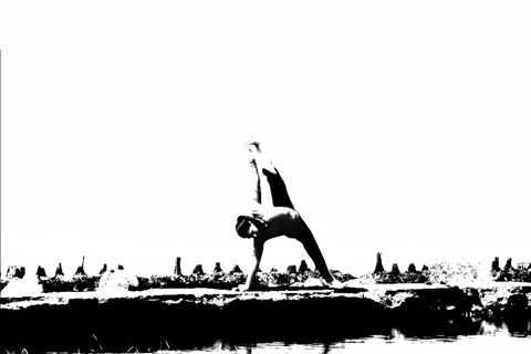 Black & White Vinyasa screenshot 3