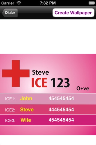 ICE 123 screenshot 2