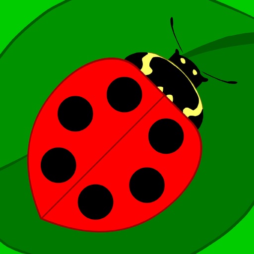 Maths Bugs icon