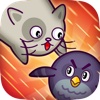 Cats vs Birds