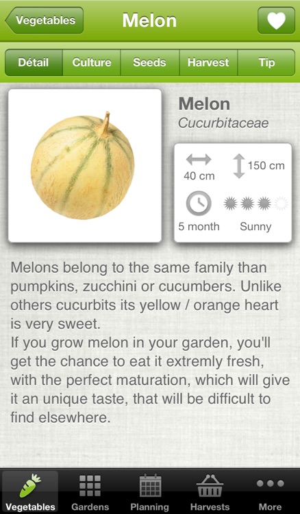 My Potager