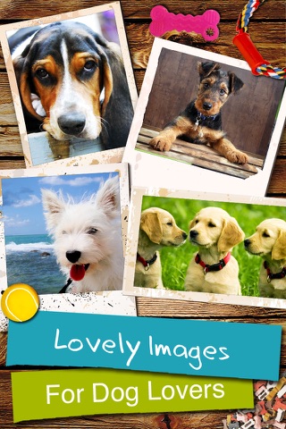 Dogs - Everything for Dog Lovers screenshot 2