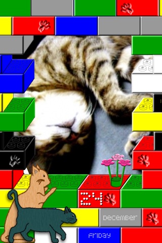 CATS 365 screenshot 2