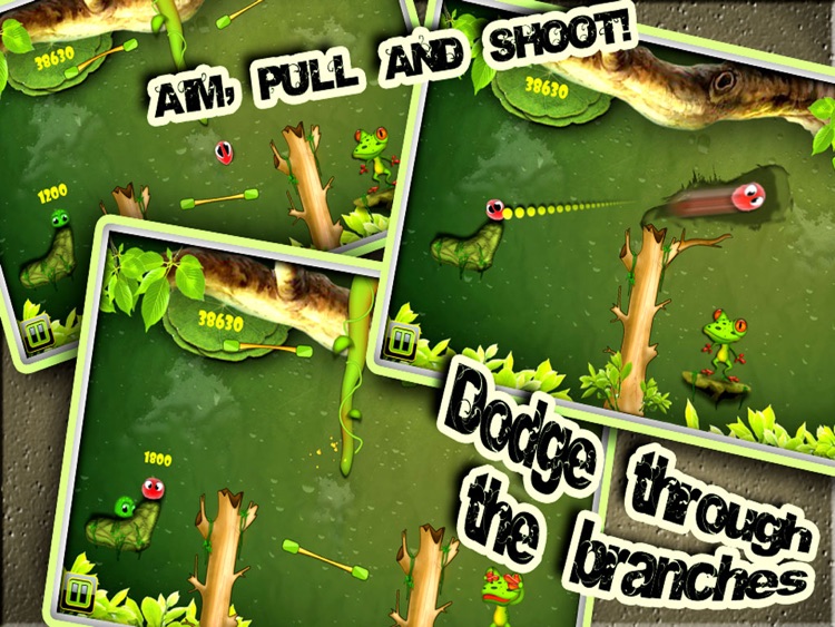 Hungry Froggie HD Pro screenshot-3