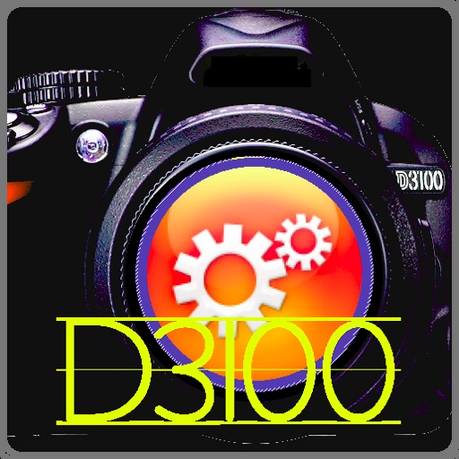 D3100 DSLR