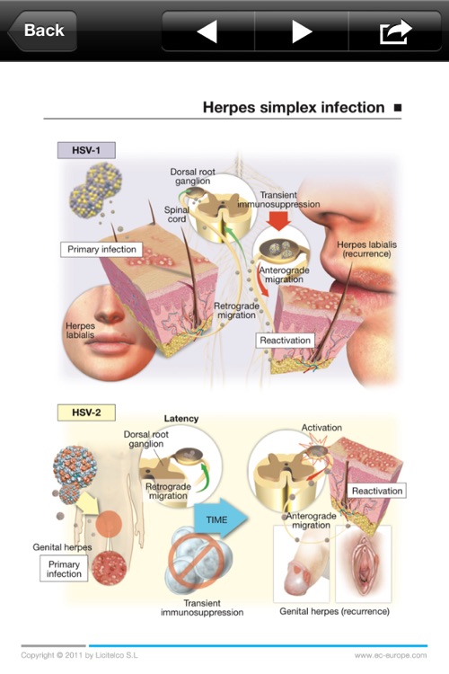 Miniatlas Dermatology screenshot-3