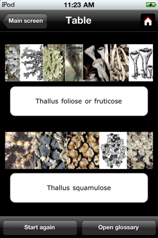 Epiphytic macrolichens of Estonia screenshot 2