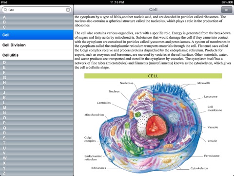 Illustrated Medical Dictionary screenshot 2