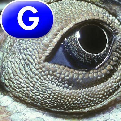 Animal Eyes - LAZ Reader [Level G–first grade] icon
