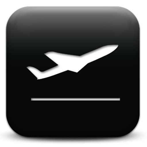 Airline Logo Pro Icon