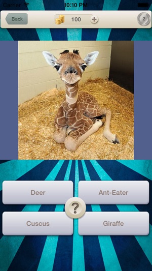 Baby Animals Quiz - Picture Guess Trivia the most famous jun(圖2)-速報App