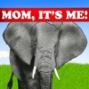 Counting Zoo - Mom, It's Me!™