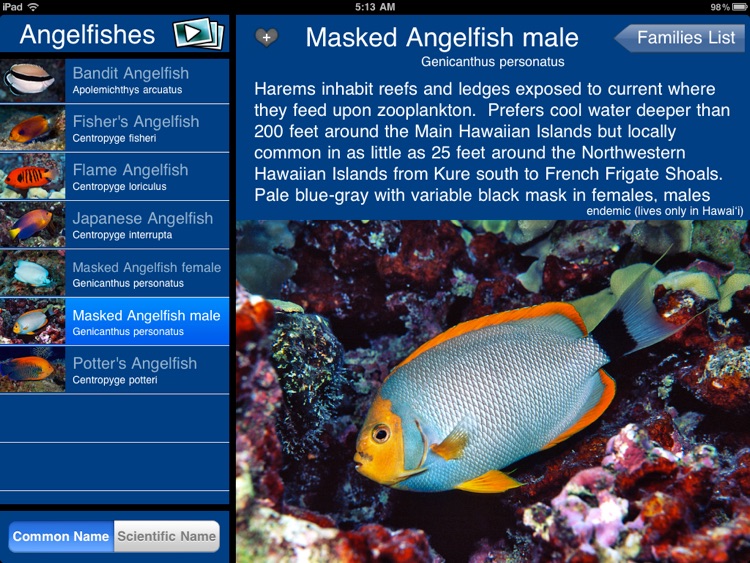 Reef Fish Hawaii HD screenshot-4