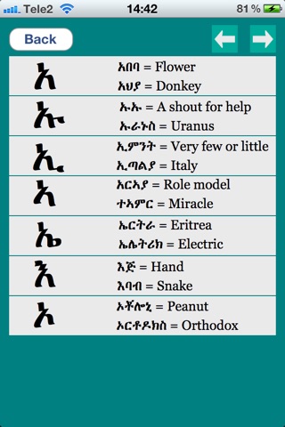 Learn Geez Alphabets screenshot 2