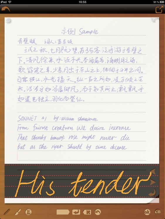 eFinger Handwriting Notes 易福记事本