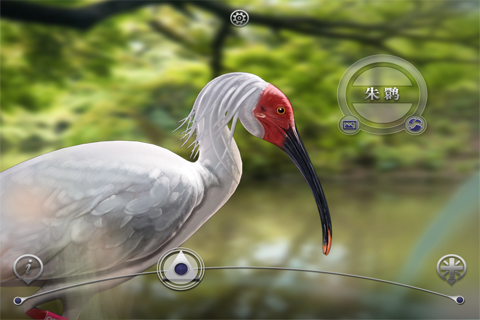 Birds -by Rye Studio™ screenshot 3