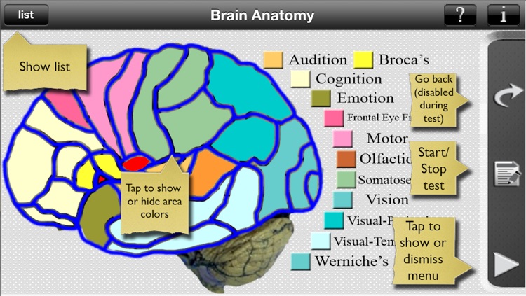 Brain Anatomy screenshot-3