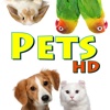 Learn for fun - Pets [HD]