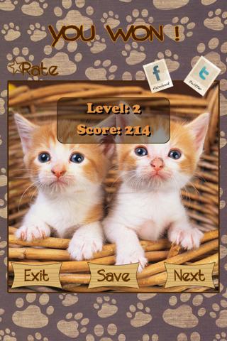 Kitten Slide Puzzles screenshot 4