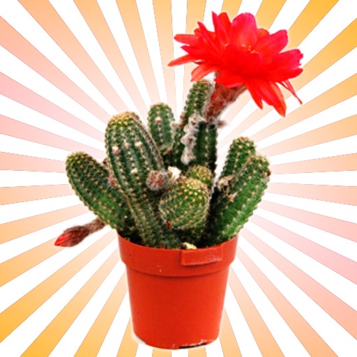 Cactus Plant Encyclopedia icon