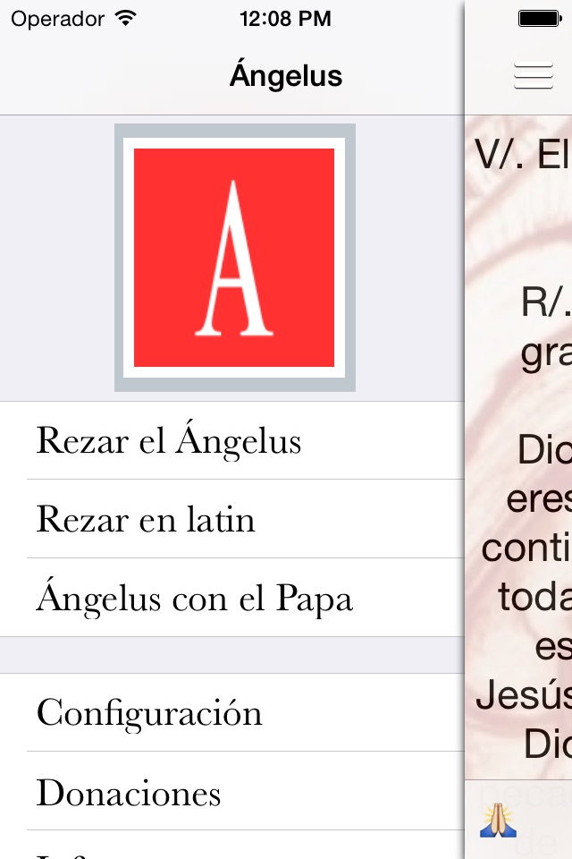 Angelus Pro screenshot 2