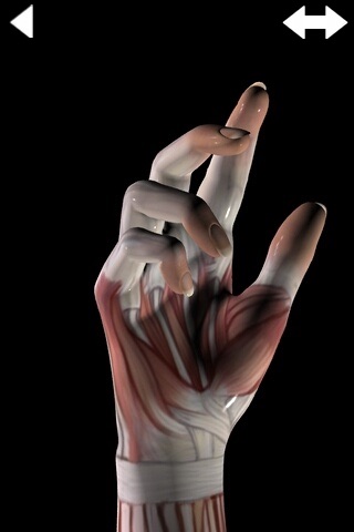 360 Anatomy for Artists - The Hand screenshot 4